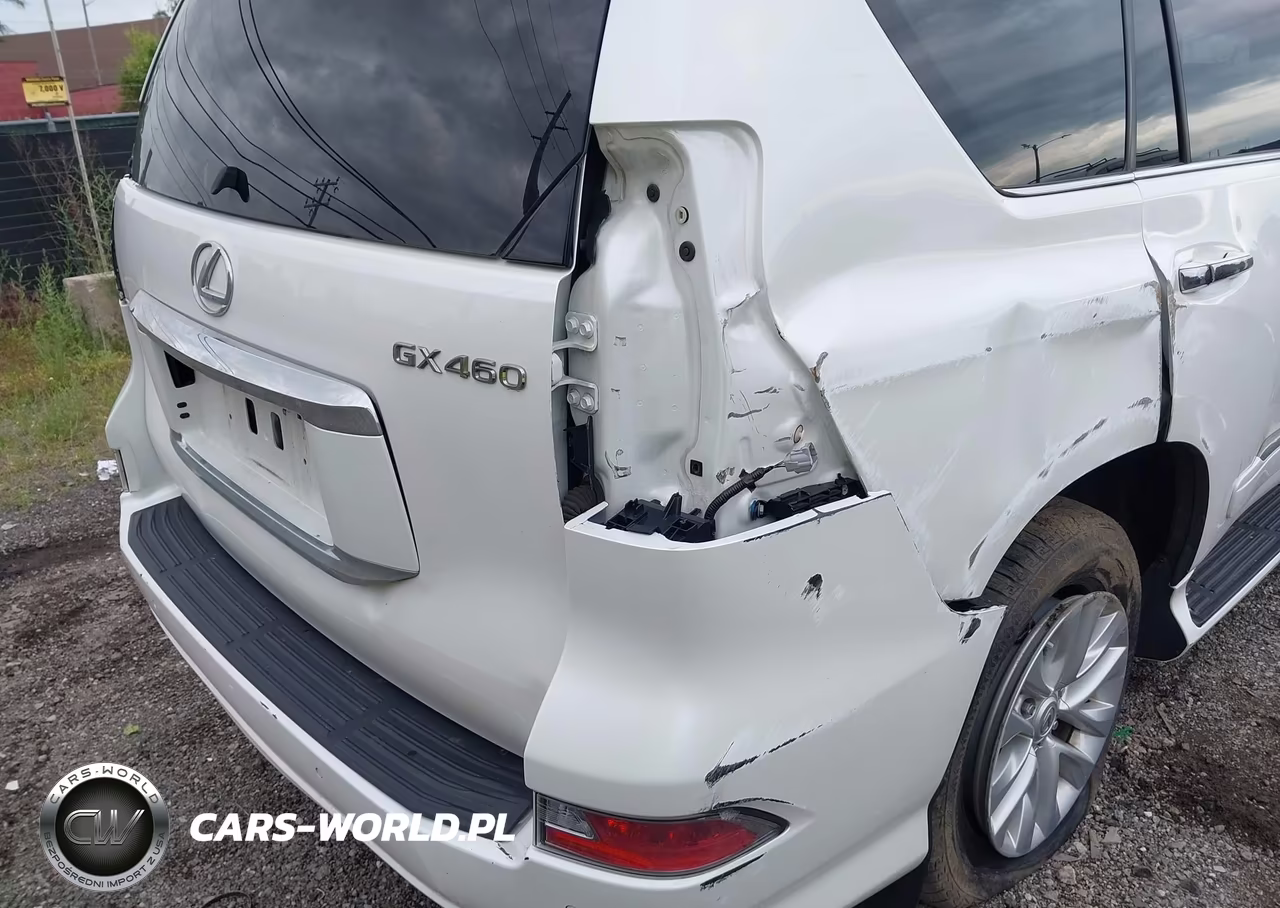 2019 Lexus Gx 460 Premium VIN:JTJBM7FX1K5220972 - 6