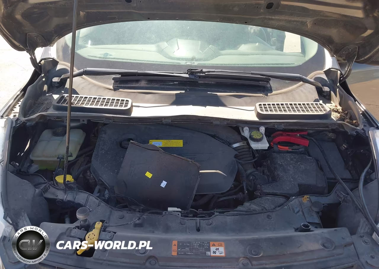 2015 Ford Escape Se VIN:1FMCU0GX6FUC77057 - 10