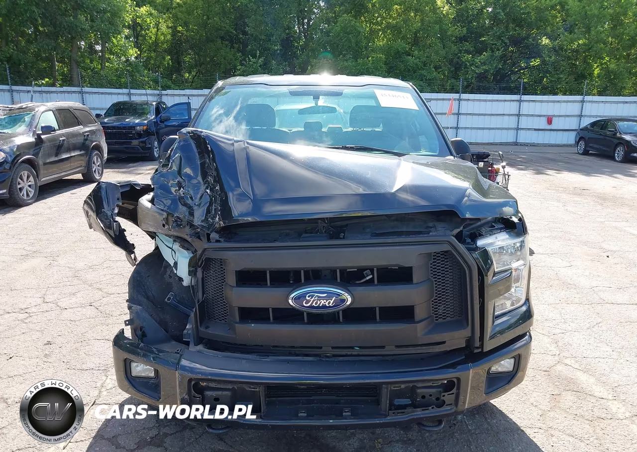2015 Ford F-150 Xl VIN:1FTEX1EP8FFC57359 - 12