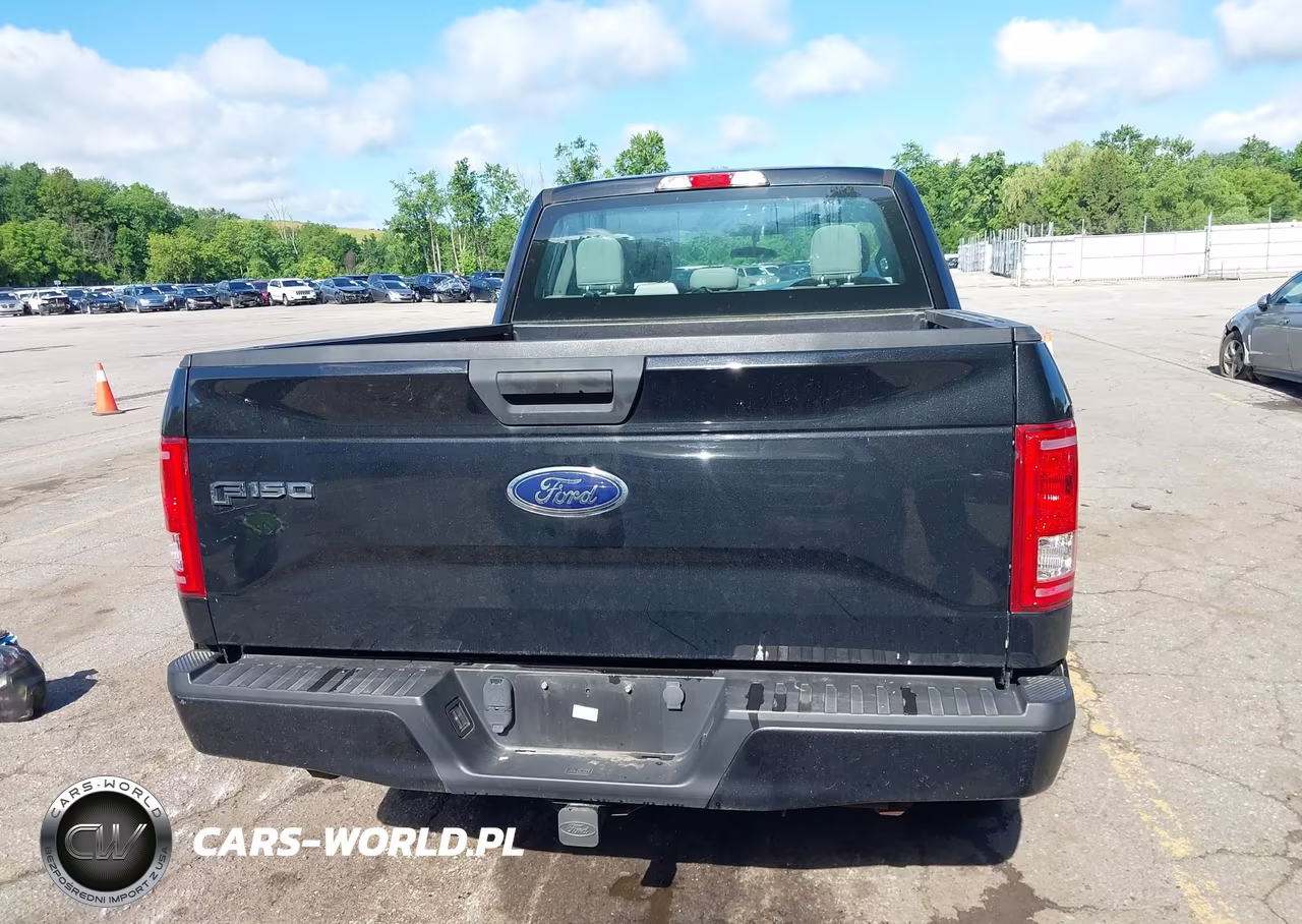 2015 Ford F-150 Xl VIN:1FTEX1EP8FFC57359 - 16