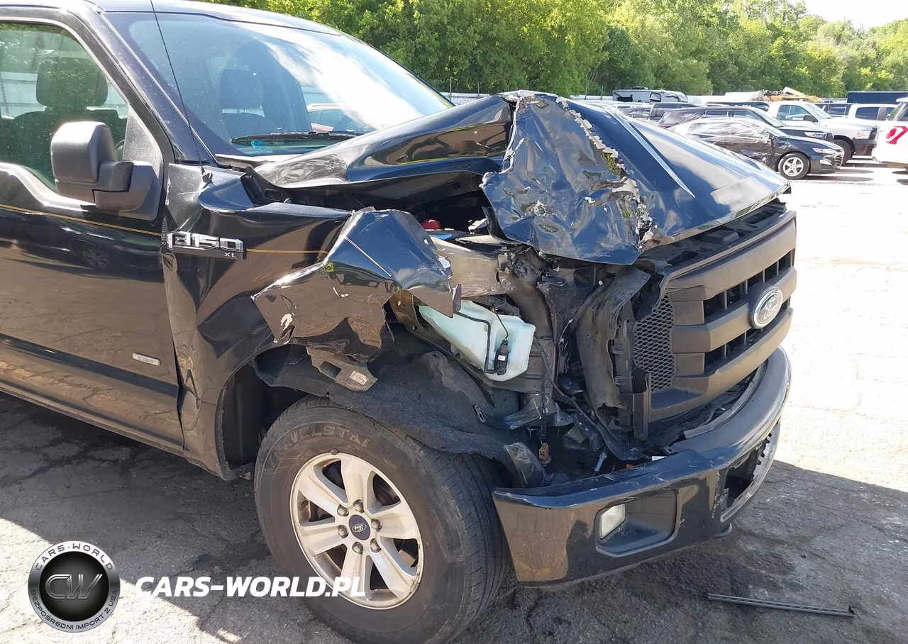 2015 Ford F-150 Xl VIN:1FTEX1EP8FFC57359 - 6