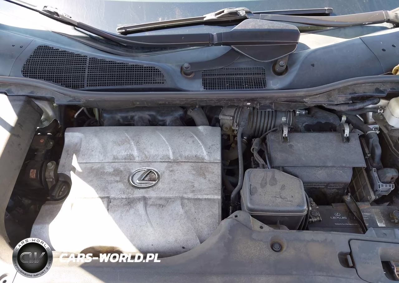 2015 Lexus Rx 350 F Sport VIN:2T2BK1BA3FC307946 - 10