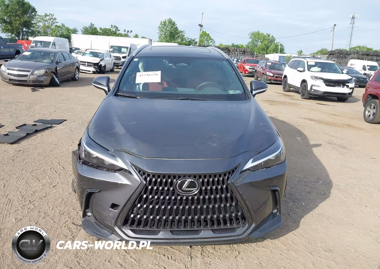 2025 Lexus Nx 350 Premium VIN:2T2GGCEZ9SC071236 - 12