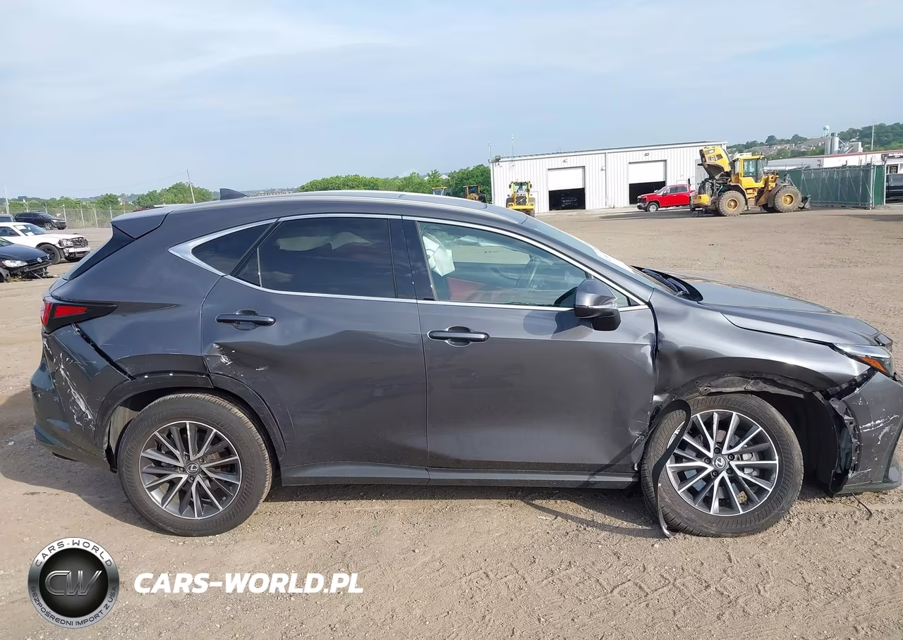 2025 Lexus Nx 350 Premium VIN:2T2GGCEZ9SC071236 - 13
