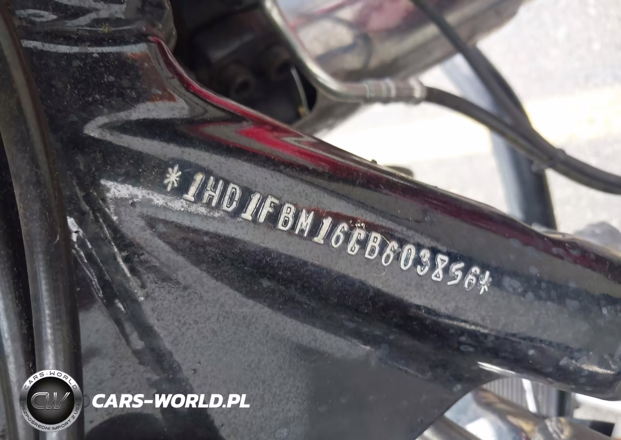 2016 Harley-Davidson Flhr Road King VIN:1HD1FBM16GB603856 - 10
