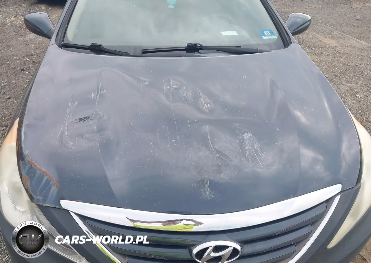 2014 Hyundai Sonata Gls VIN:5NPEB4AC9EH886152 - 6