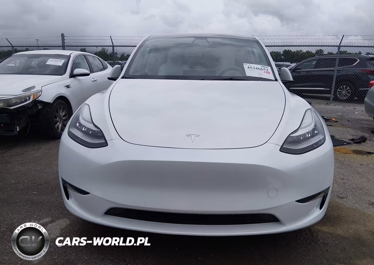2022 Tesla Model Y Long Range Dual Motor All-Wheel Drive VIN:7SAYGDEE1NF313094 - 13