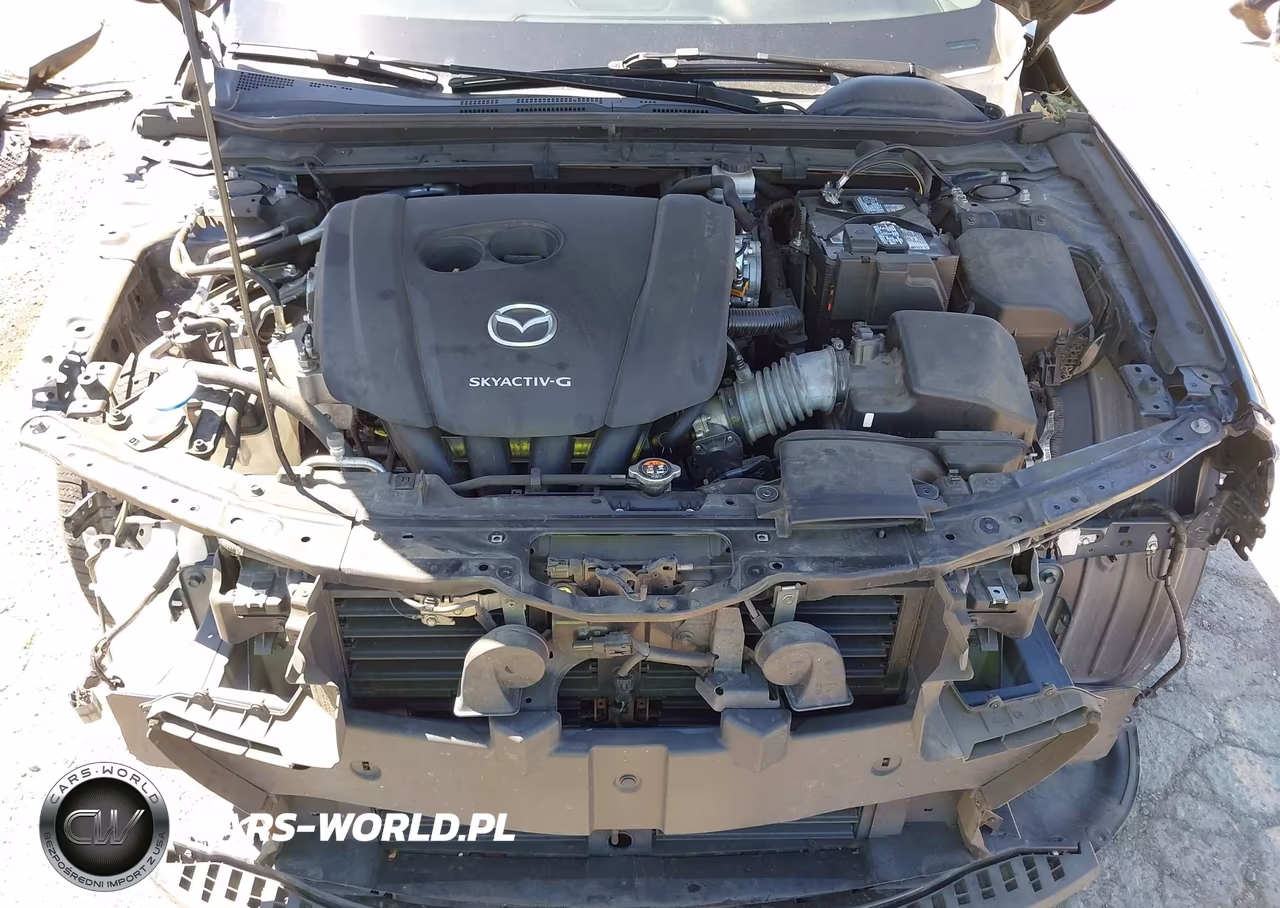 2019 Mazda Mazda3 Preferred Package VIN:JM1BPBMM1K1139709 - 10