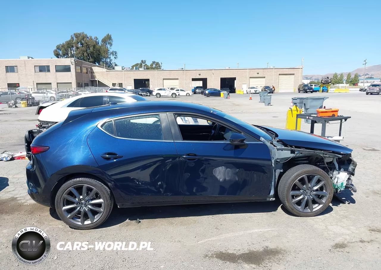 2019 Mazda Mazda3 Preferred Package VIN:JM1BPBMM1K1139709 - 14