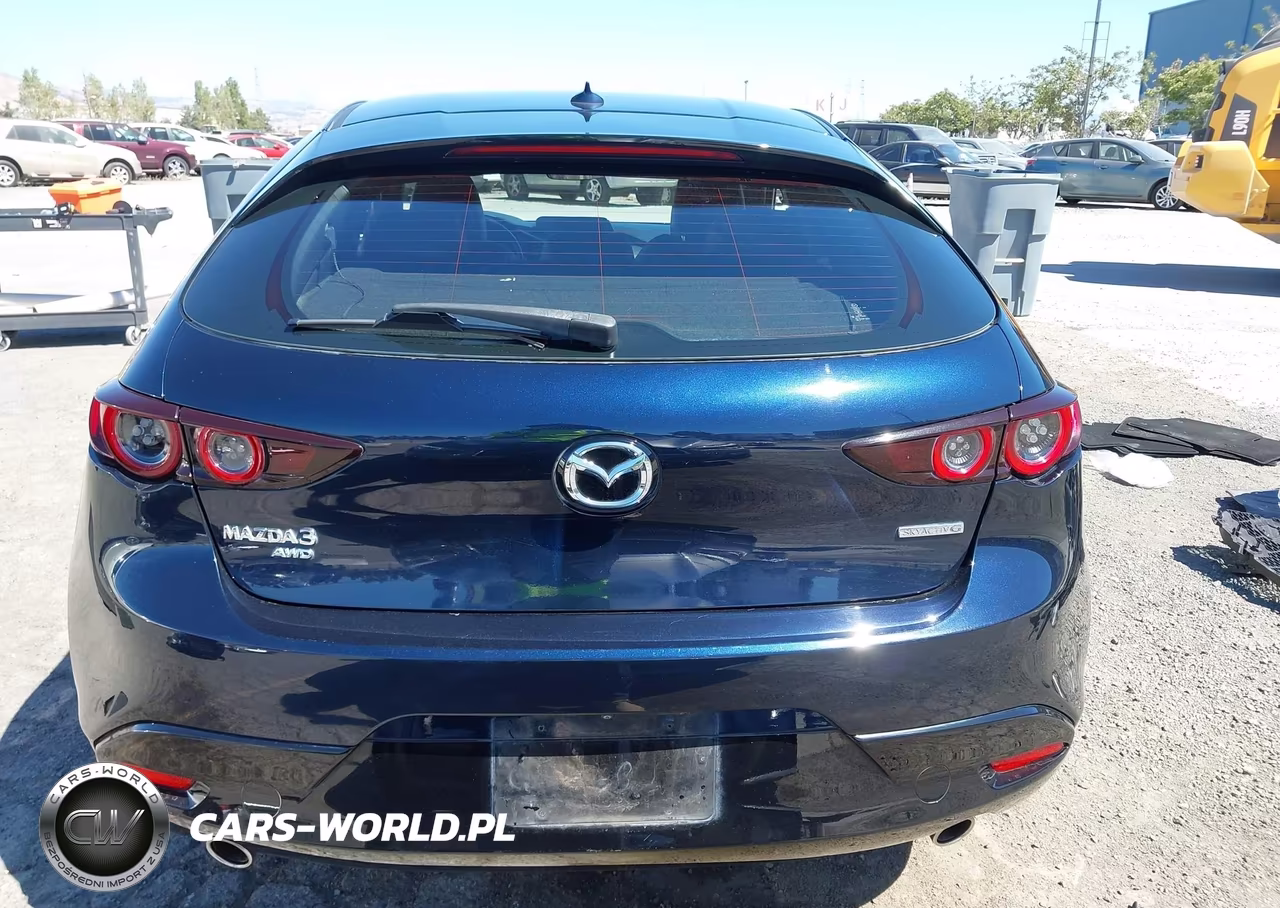 2019 Mazda Mazda3 Preferred Package VIN:JM1BPBMM1K1139709 - 17