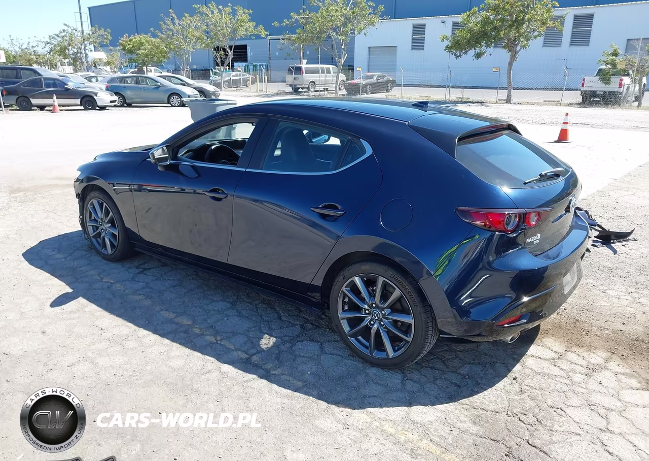 2019 Mazda Mazda3 Preferred Package VIN:JM1BPBMM1K1139709 - 3