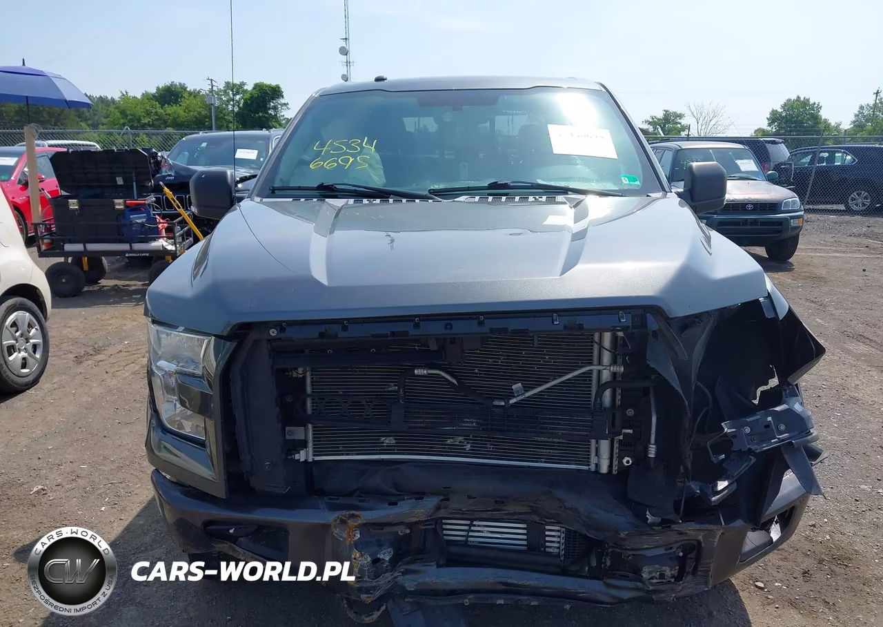 2016 Ford F-150 Xlt VIN:1FTEW1EP2GFC82990 - 13