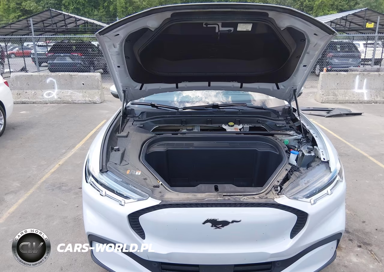 2022 Ford Mustang Mach-E Select VIN:3FMTK1SS1NMA17854 - 10