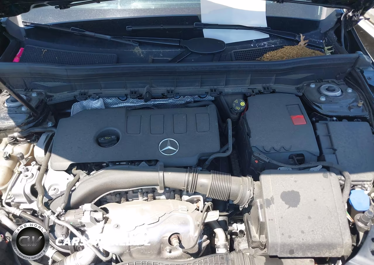 2023 Mercedes-Benz Glb 250 4Matic VIN:W1N4M4HBXPW335477 - 10