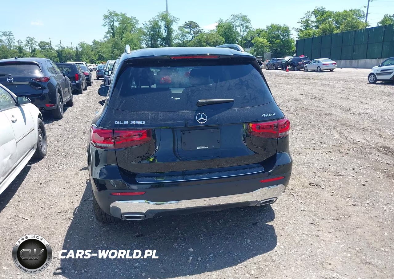 2023 Mercedes-Benz Glb 250 4Matic VIN:W1N4M4HBXPW335477 - 16