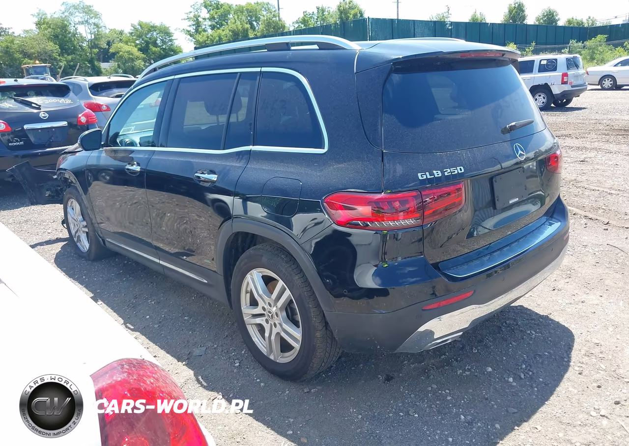 2023 Mercedes-Benz Glb 250 4Matic VIN:W1N4M4HBXPW335477 - 3