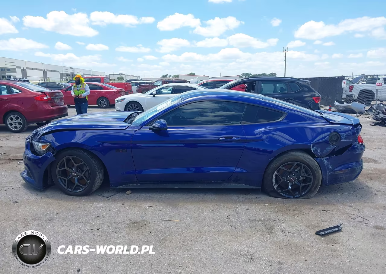 2016 Ford Mustang Gt VIN:1FA6P8CF6G5229774 - 12