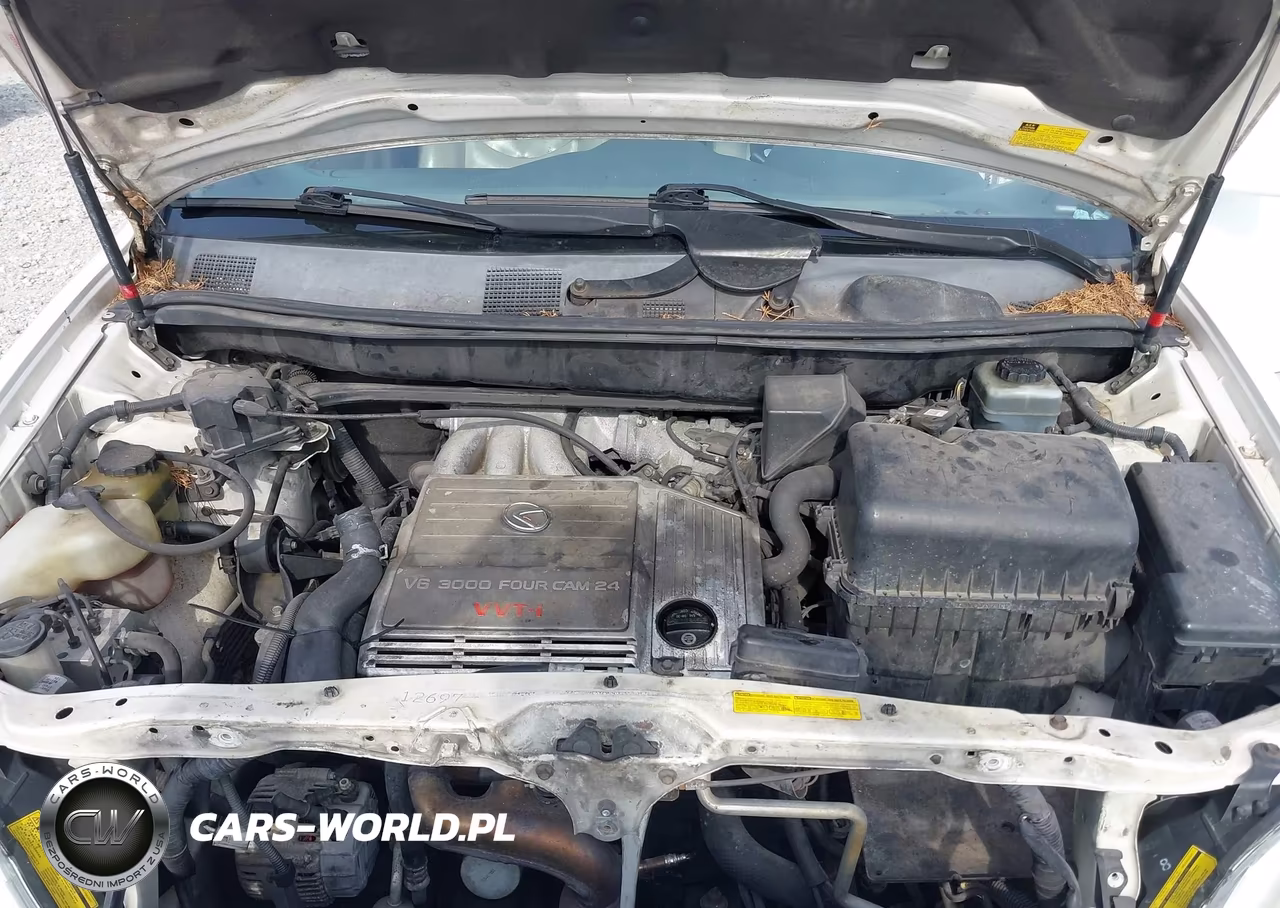 2001 Lexus Rx 300 VIN:JTJGF10U710099825 - 10