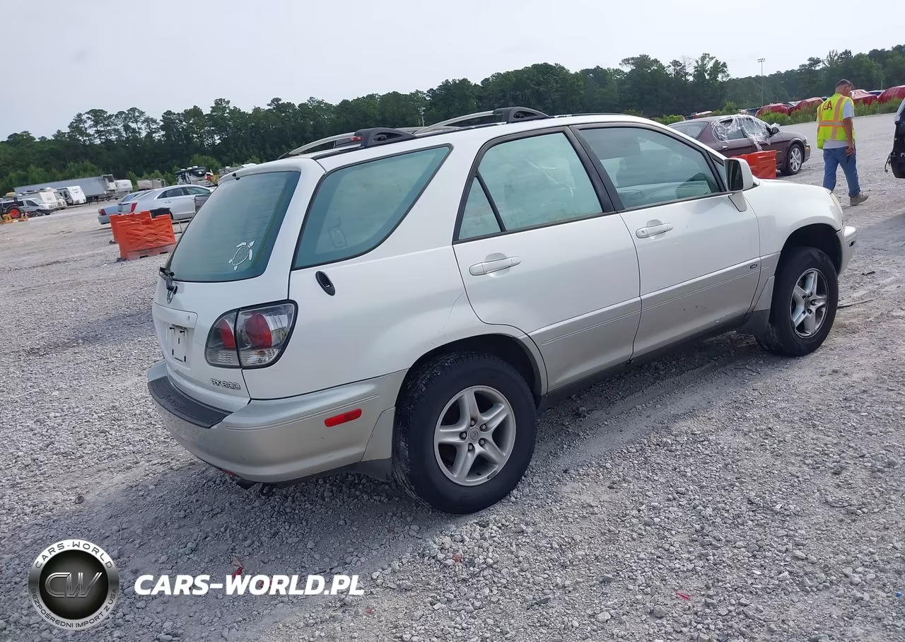 2001 Lexus Rx 300 VIN:JTJGF10U710099825 - 4