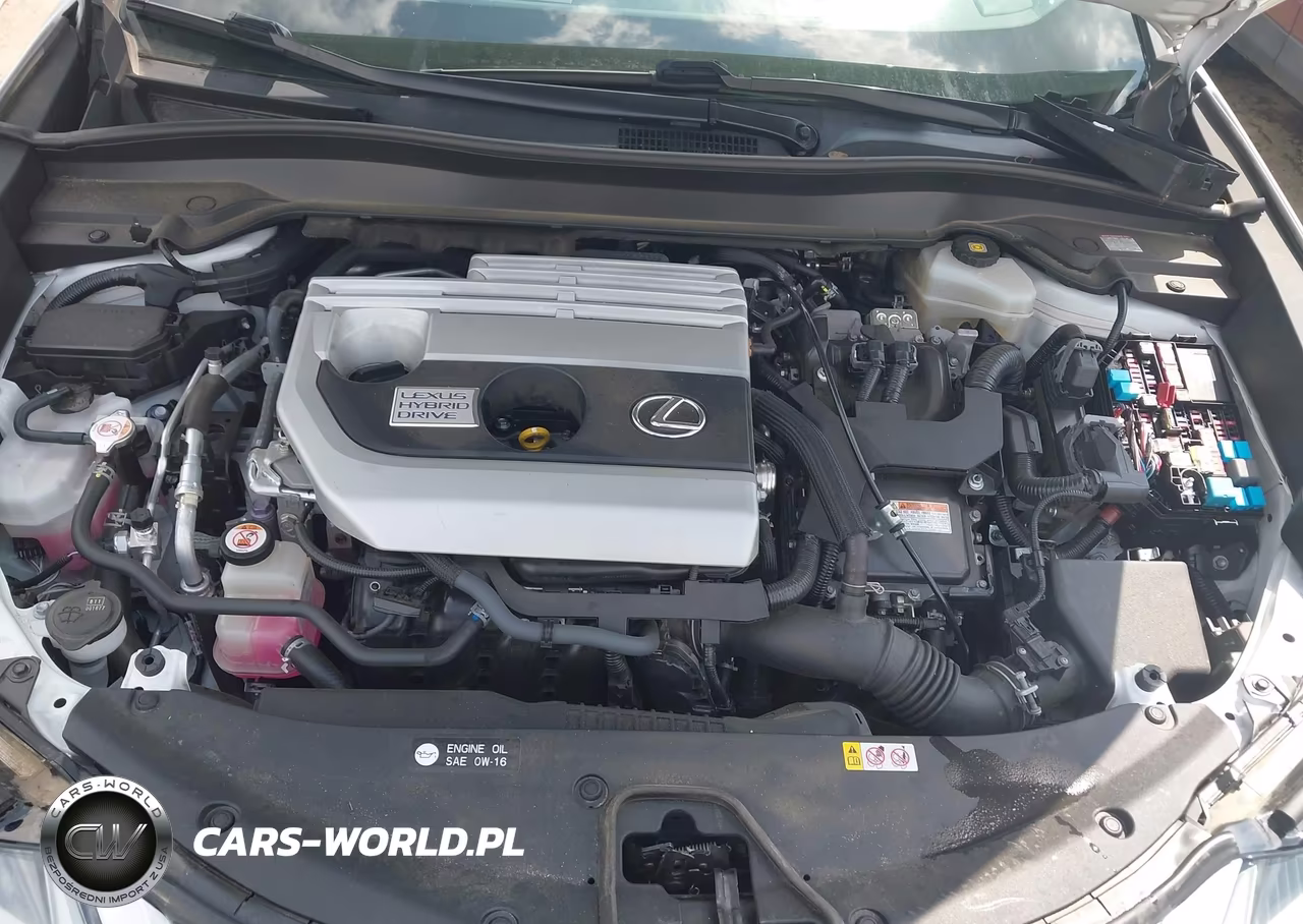 2020 Lexus Ux 250H VIN:JTHP9JBH1L2021072 - 10