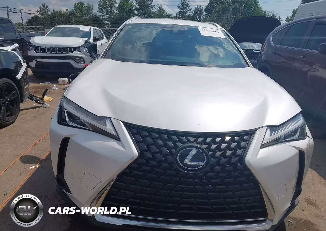 2020 Lexus Ux 250H VIN:JTHP9JBH1L2021072 - 12