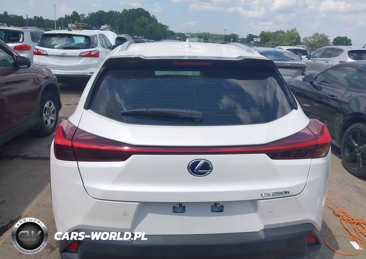 2020 Lexus Ux 250H VIN:JTHP9JBH1L2021072 - 16