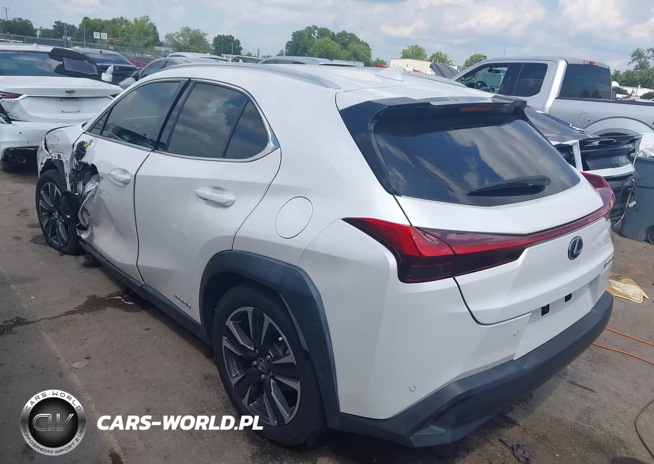 2020 Lexus Ux 250H VIN:JTHP9JBH1L2021072 - 3