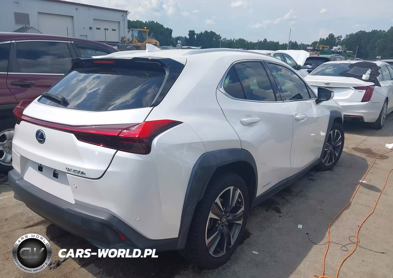 2020 Lexus Ux 250H VIN:JTHP9JBH1L2021072 - 4