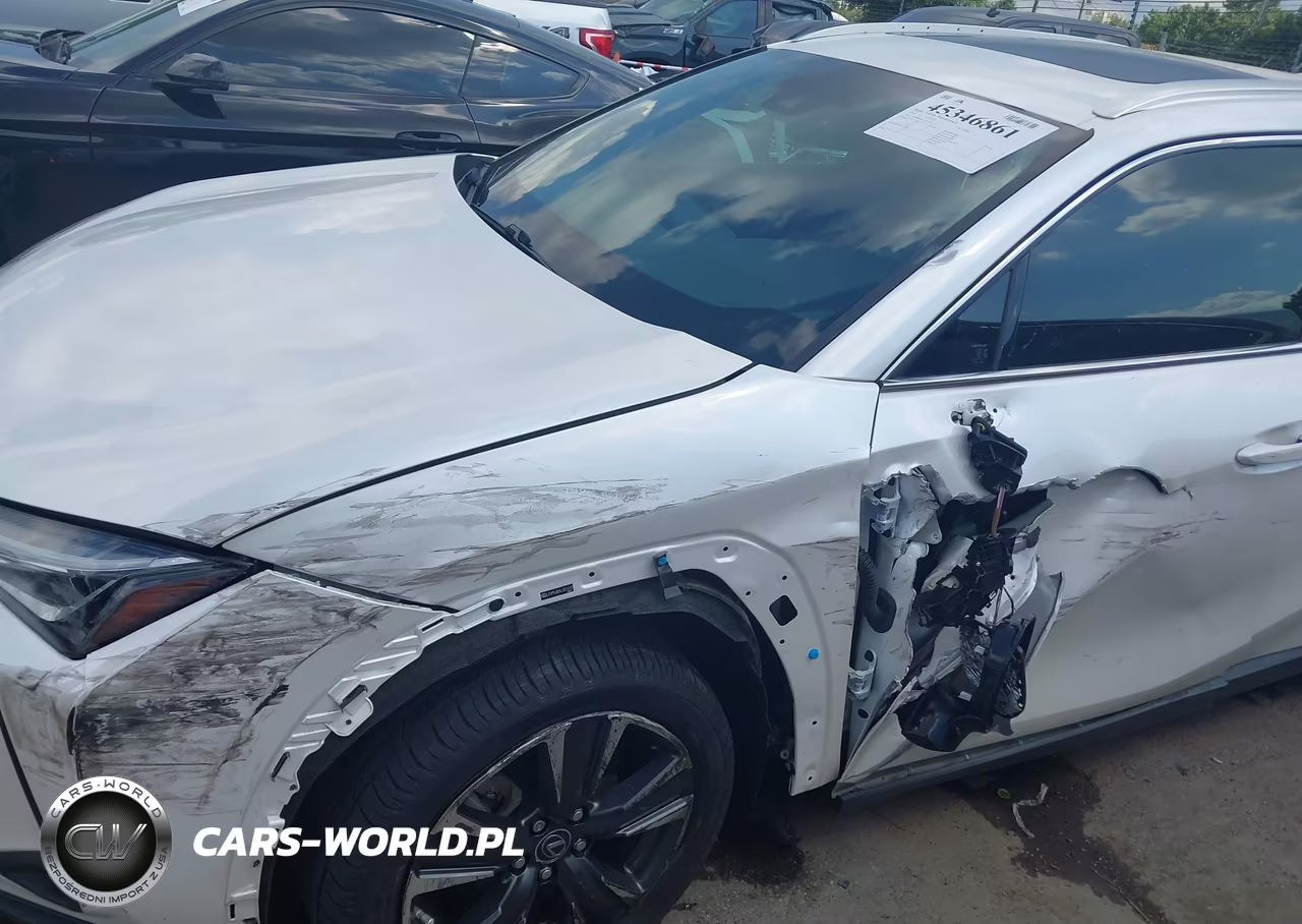 2020 Lexus Ux 250H VIN:JTHP9JBH1L2021072 - 6