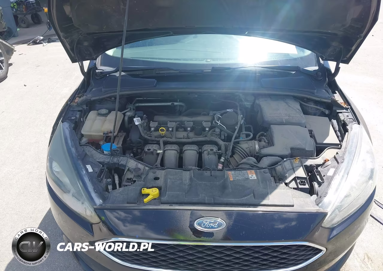 2016 Ford Focus Se VIN:1FADP3K24GL275432 - 10