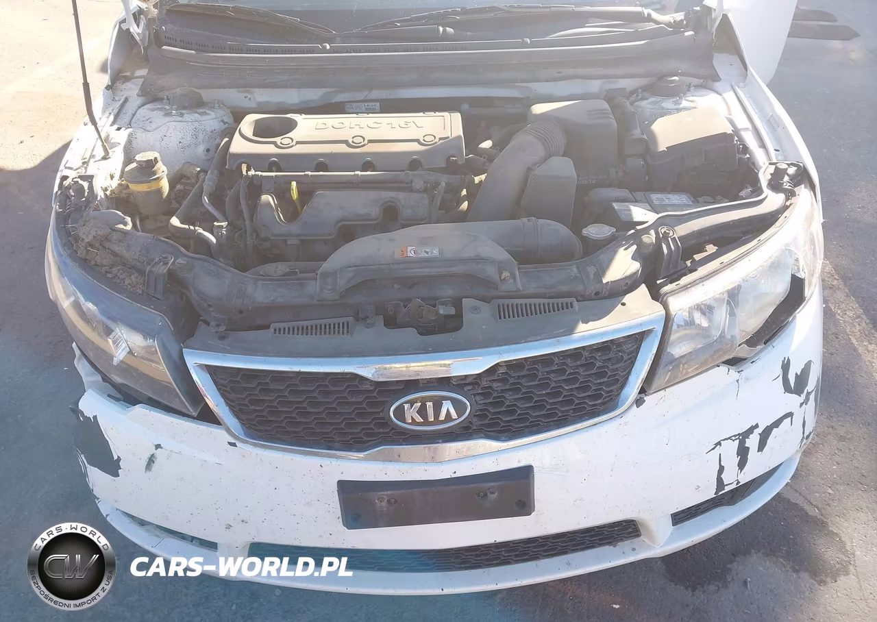 2013 Kia Forte Ex VIN:KNAFU4A29D5651929 - 10