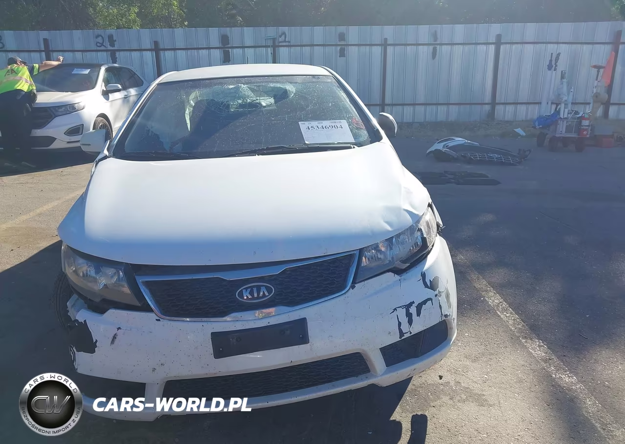 2013 Kia Forte Ex VIN:KNAFU4A29D5651929 - 13