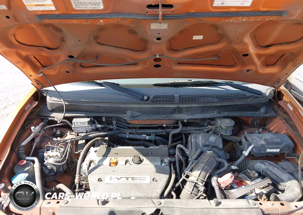 2006 Honda Element Ex-P VIN:5J6YH287X6L019925 - 10