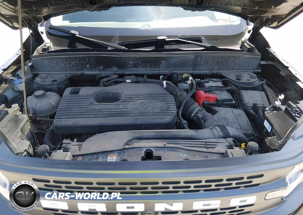 2021 Ford Bronco Sport Badlands VIN:3FMCR9D97MRB17639 - 10