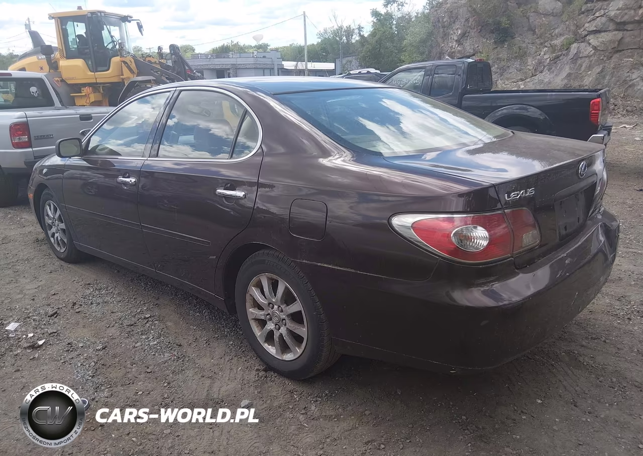 2002 Lexus Es 300 VIN:JTHBF30G420043957 - 3