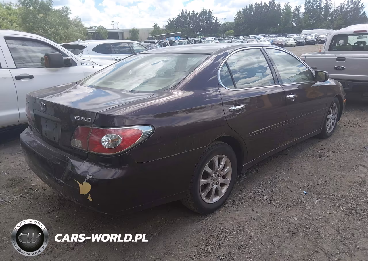 2002 Lexus Es 300 VIN:JTHBF30G420043957 - 4