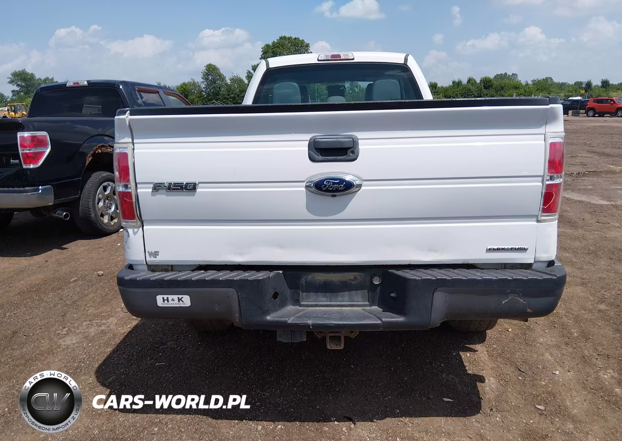 2013 Ford F-150 Xl W-Hd Payload Pkg VIN:1FTVX1ET5DKD43388 - 16