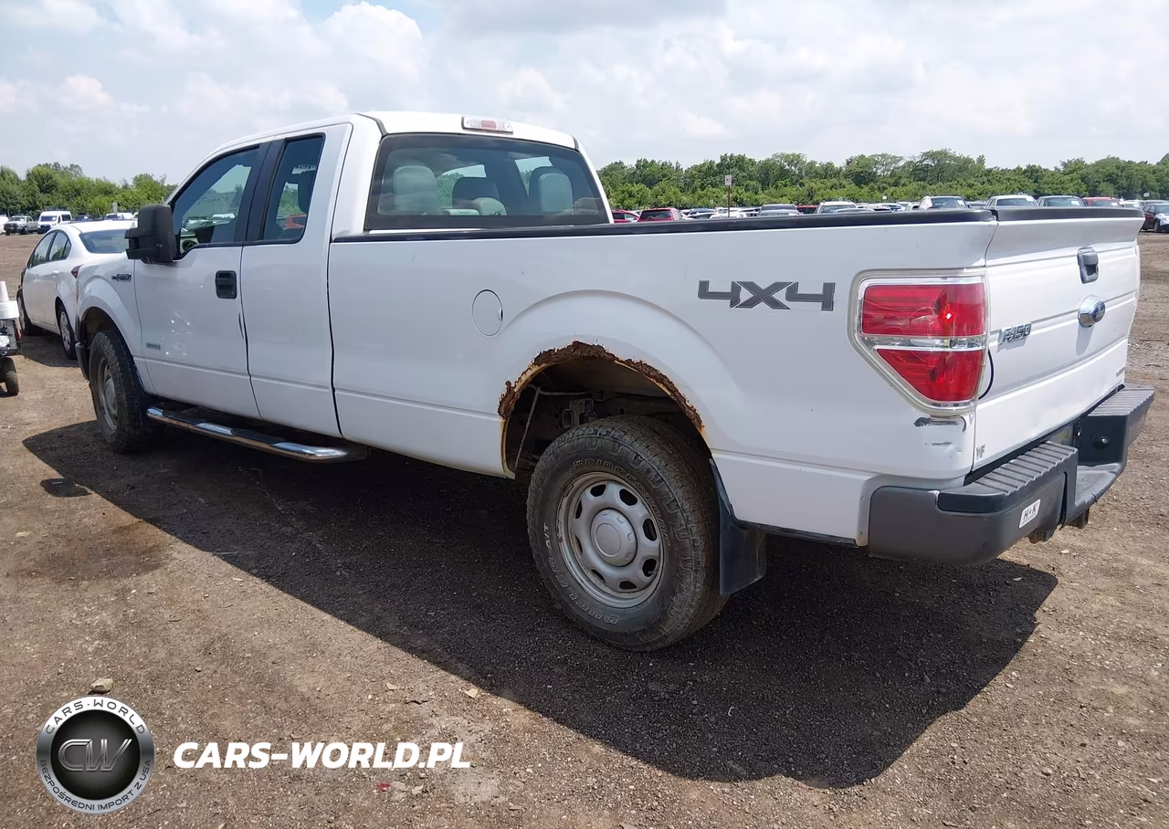 2013 Ford F-150 Xl W-Hd Payload Pkg VIN:1FTVX1ET5DKD43388 - 3