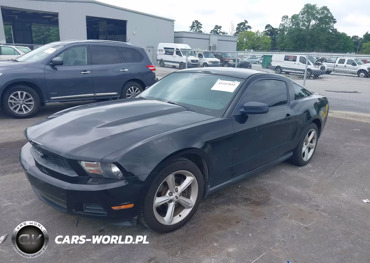 2012 Ford Mustang V6 VIN:1ZVBP8AMXC5273505 - 2