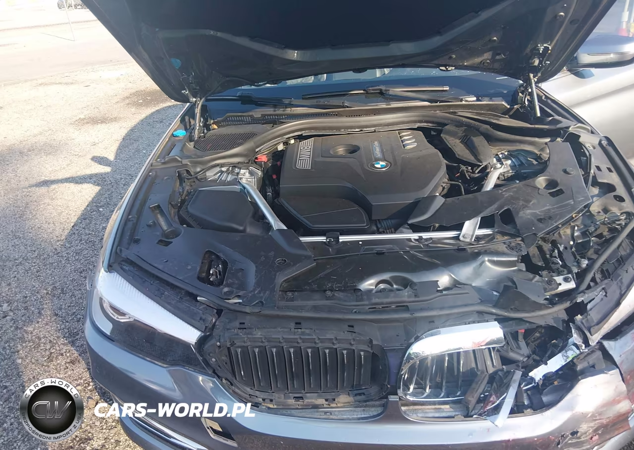 2019 BMW 530I xDrive VIN:WBAJA7C53KG910380 - 10