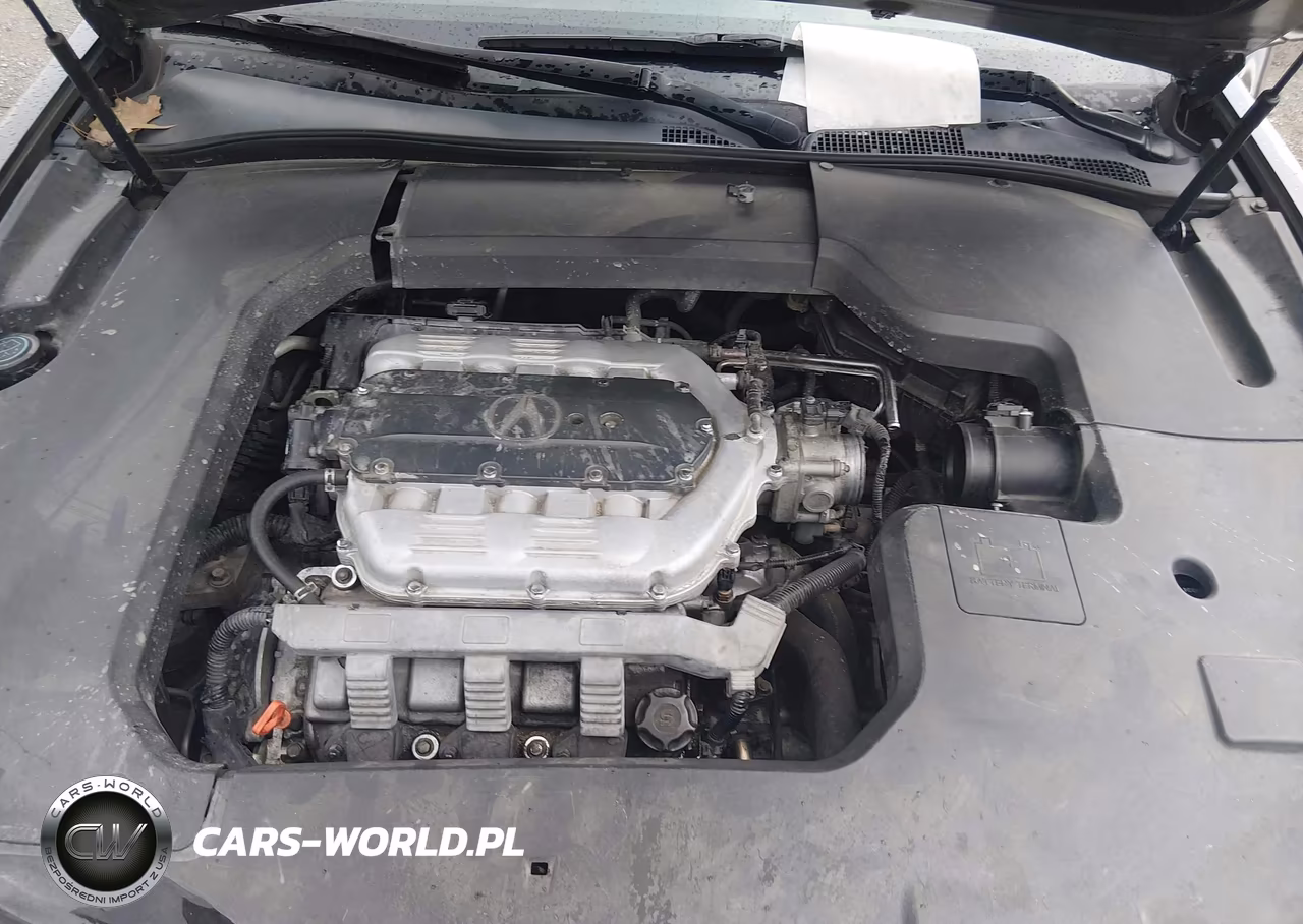 2009 Acura Tl 3.5 VIN:19UUA86299A014641 - 10