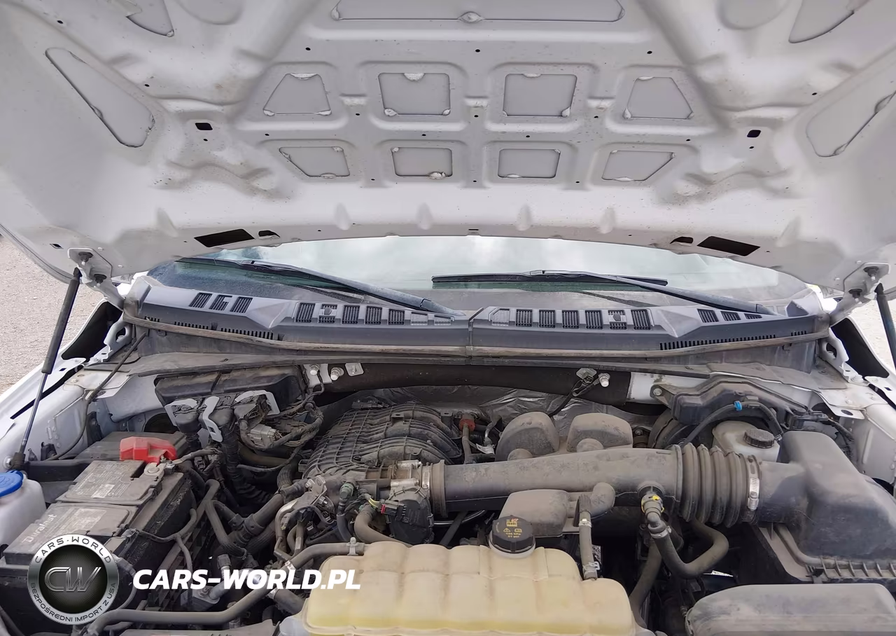 2020 Ford F-150 Xl VIN:1FTEW1EBXLKF21059 - 10