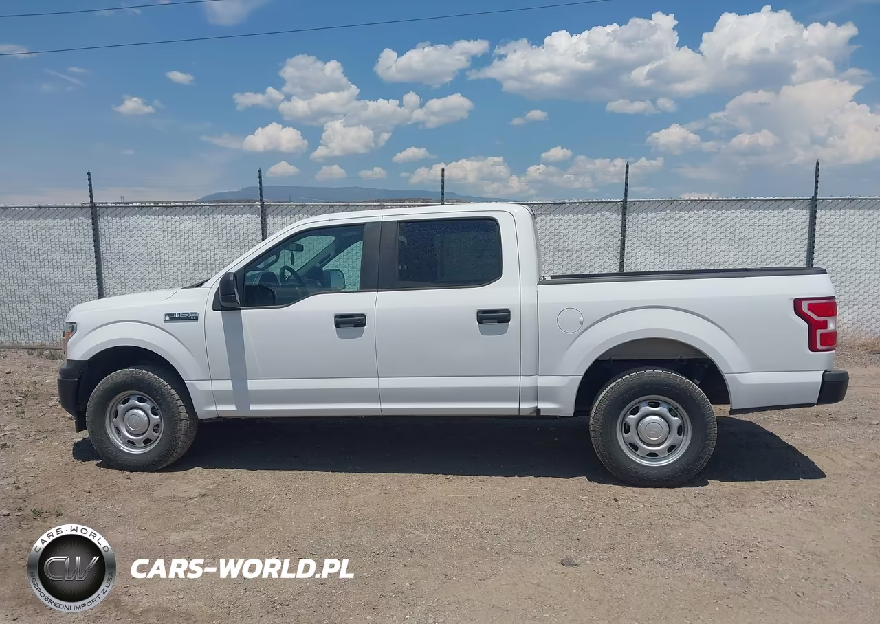 2020 Ford F-150 Xl VIN:1FTEW1EBXLKF21059 - 14
