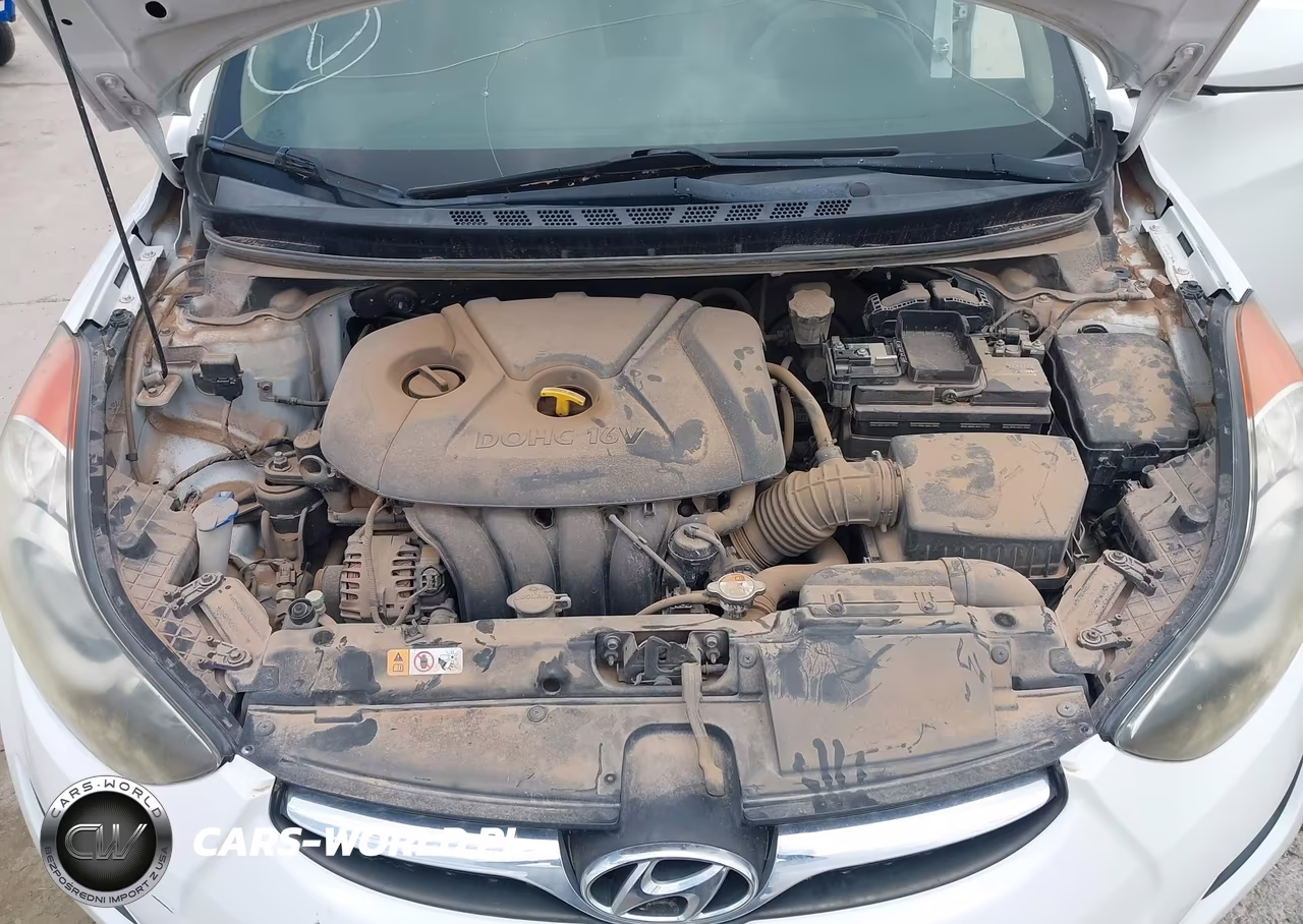 2013 Hyundai Elantra Gls-Limited VIN:5NPDH4AE6DH197499 - 10