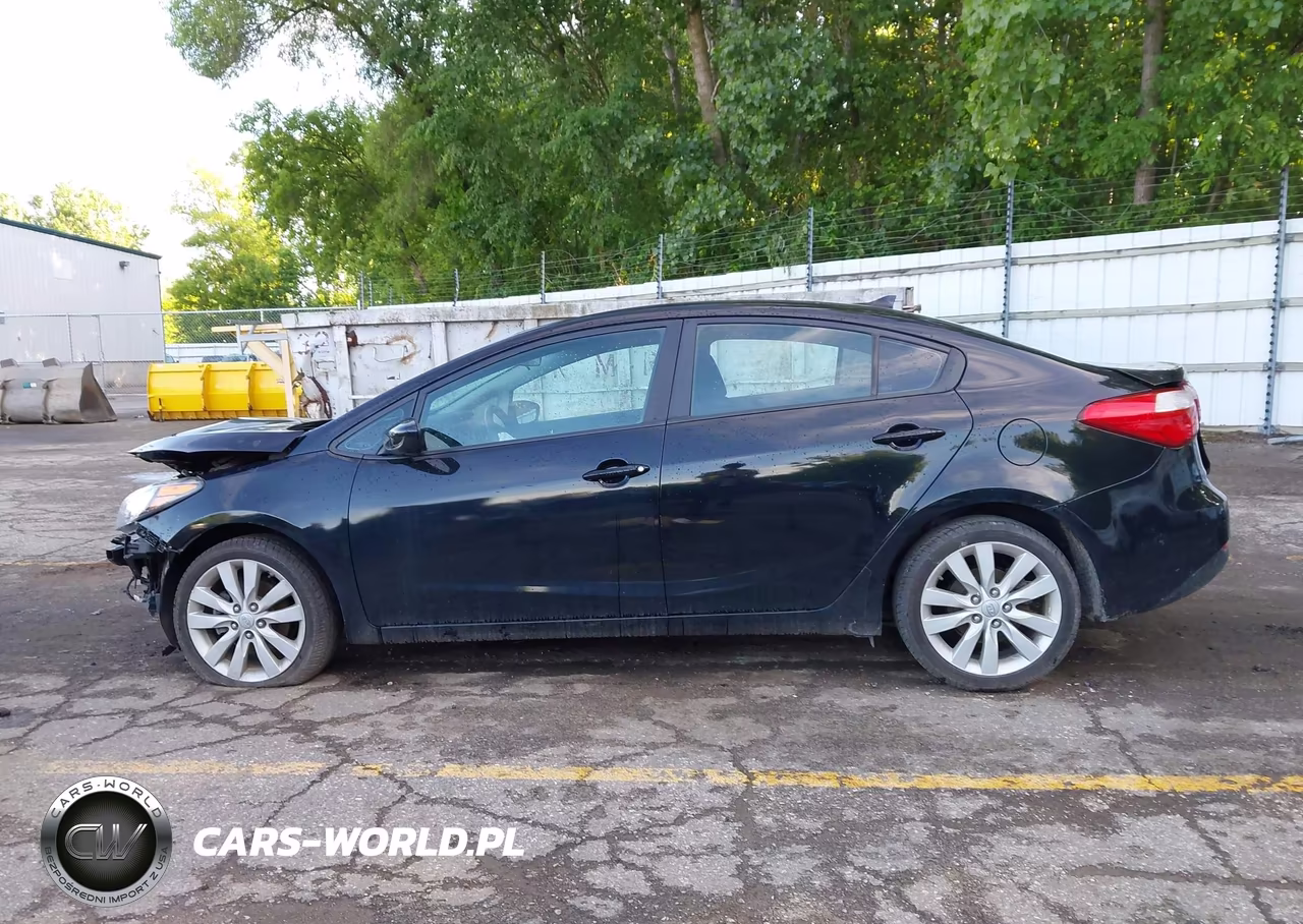 2016 Kia Forte Lx VIN:KNAFK4A6XG5477673 - 14