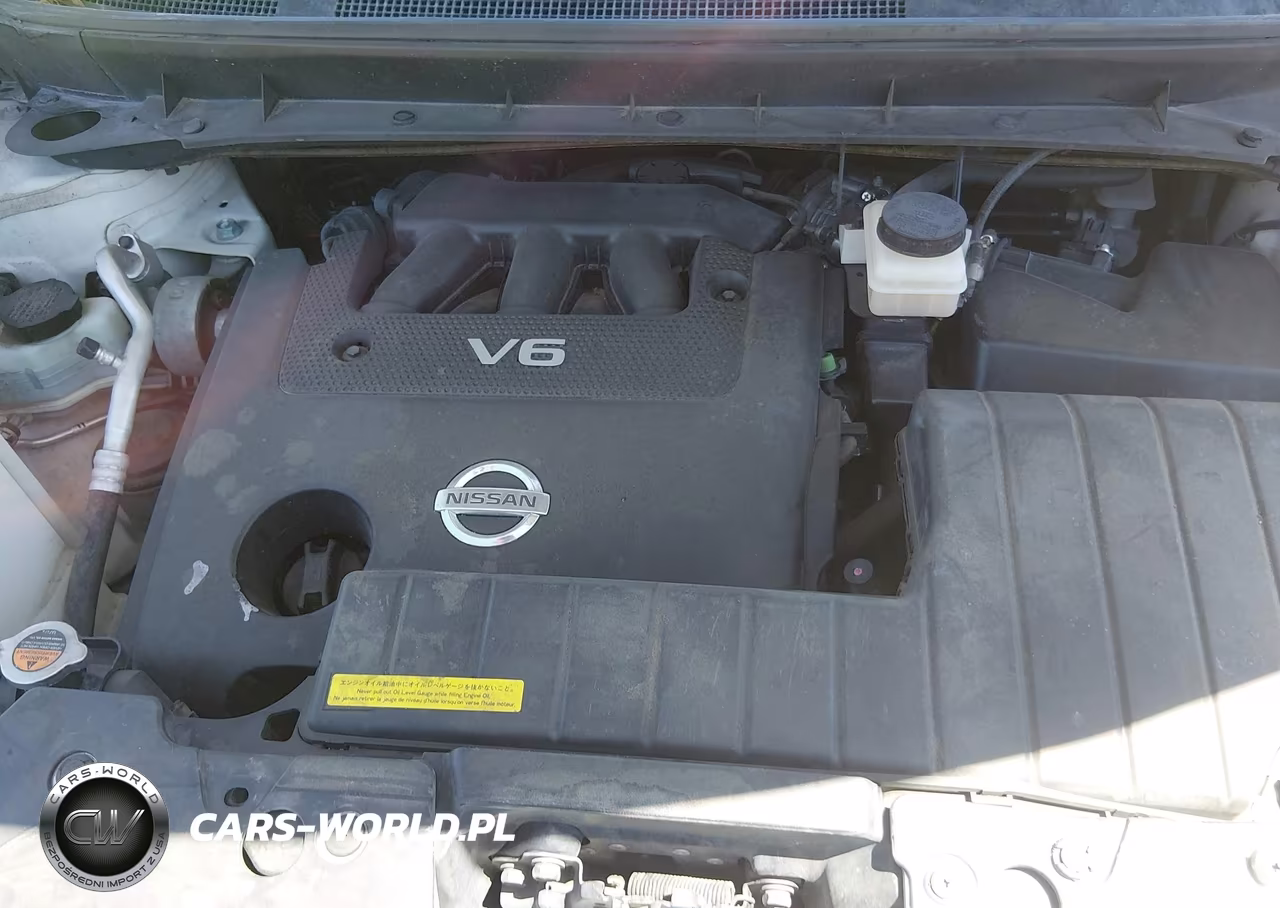 2011 Nissan Murano Sl VIN:JN8AZ1MW5BW177534 - 10