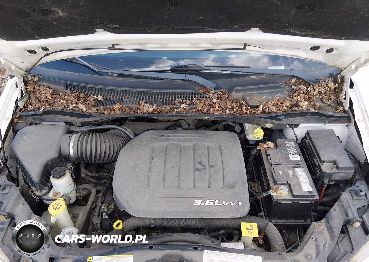 2012 Dodge Grand Caravan Sxt VIN:2C4RDGCG1CR114905 - 10