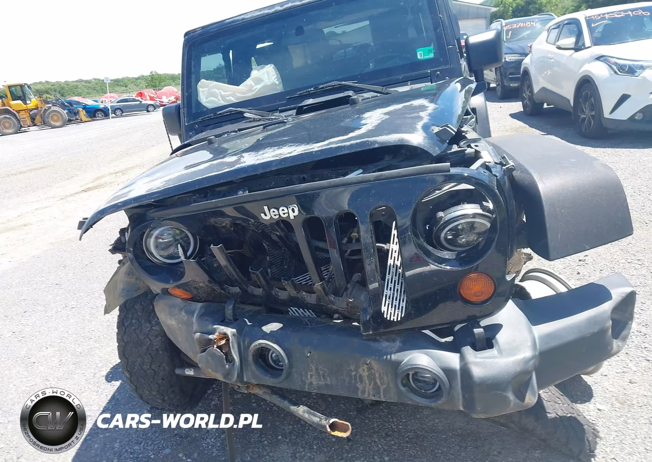 2009 Jeep Wrangler X VIN:1J4FA24129L746462 - 13
