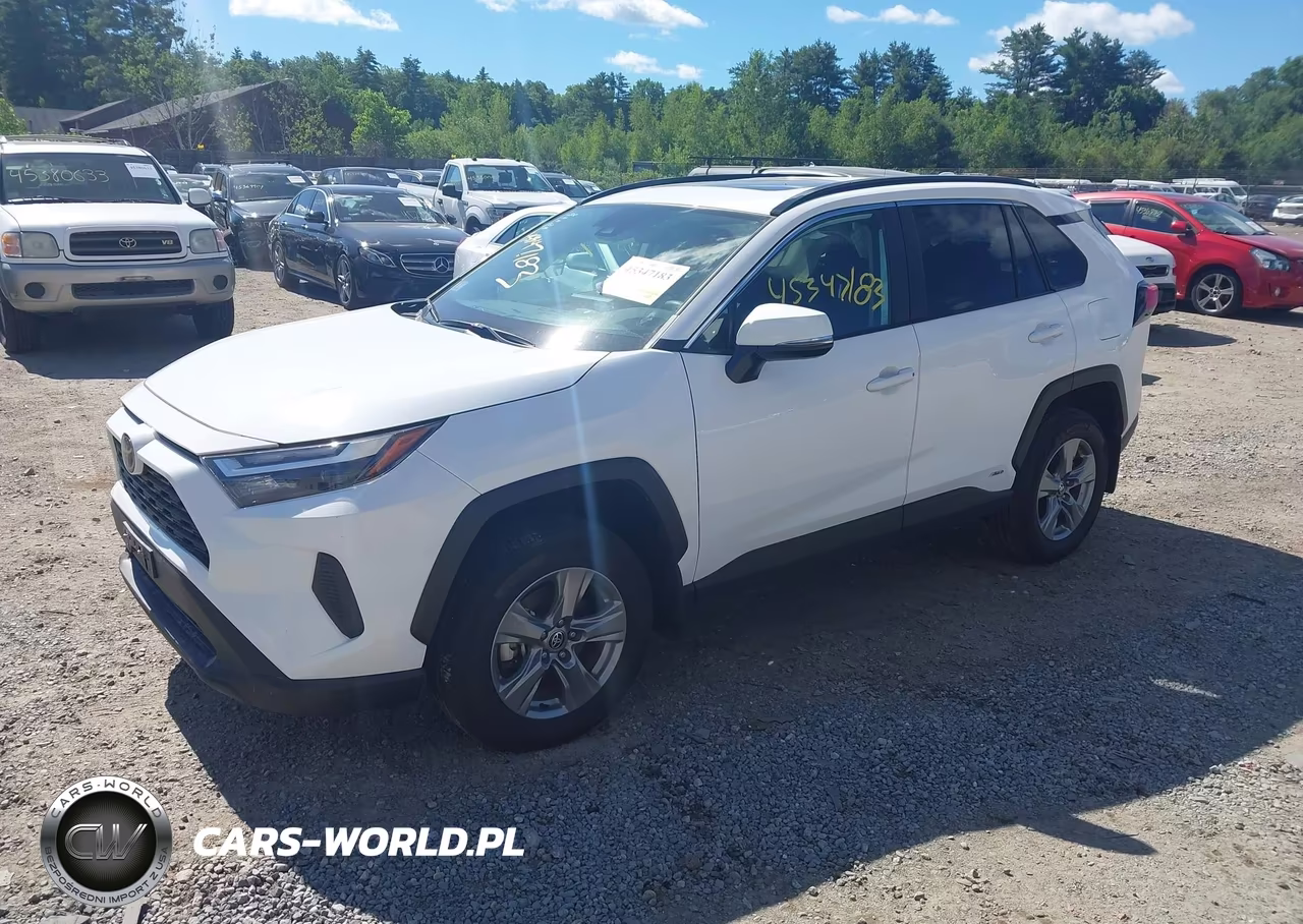 2025 Toyota Rav4 Hybrid Xle VIN:4T3RWRFV4SU188579 - 2