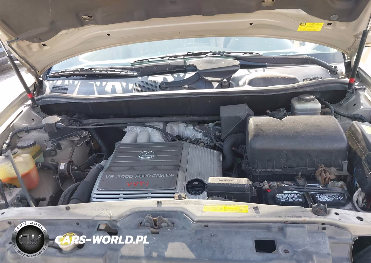 2002 Lexus Rx 300 VIN:JTJGF10U920138609 - 10